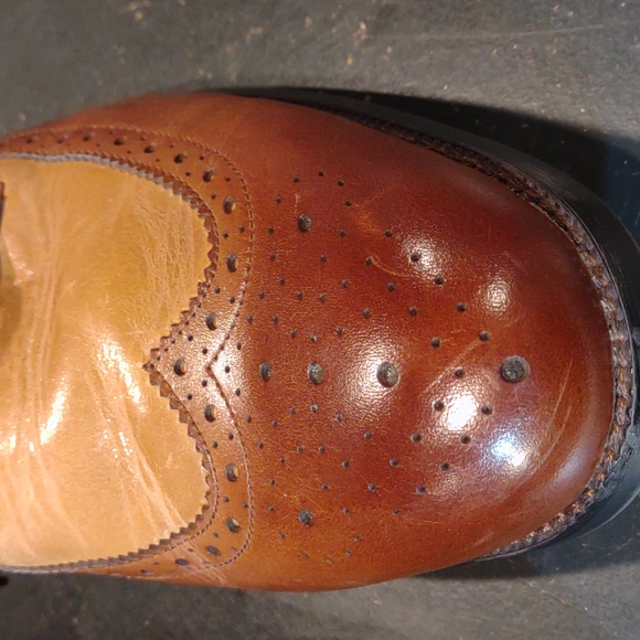 Gorgeous Multi Brown Stacy Adams Wingtips Size 12W. WIDE - Picture 5 of 15